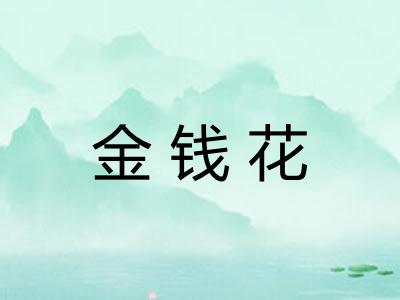 金钱花 金钱花