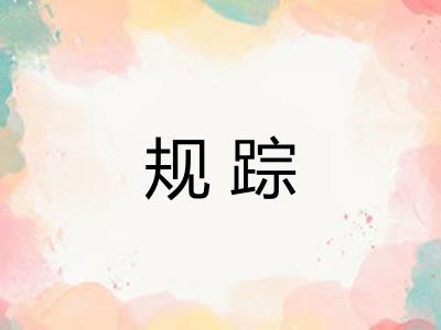 规踪