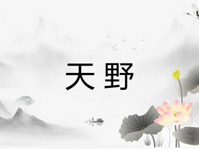 天野