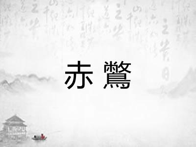 赤鷩