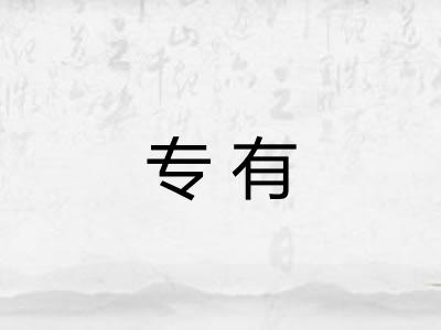 专有