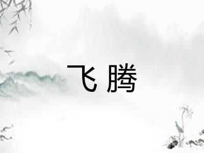 飞腾 飞腾
