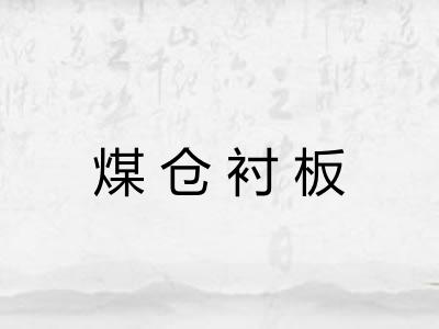 煤仓衬板