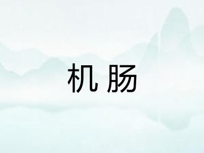 机肠