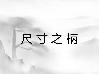 尺寸之柄 尺寸之柄