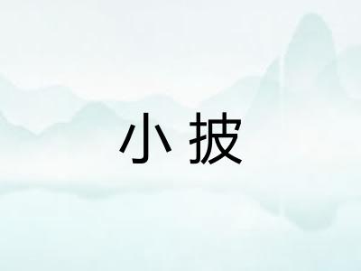 小披