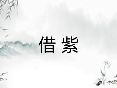 借紫