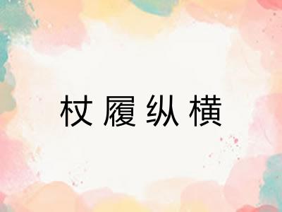 杖履纵横 杖履纵横