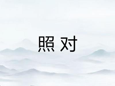 照对