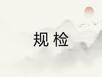 规检