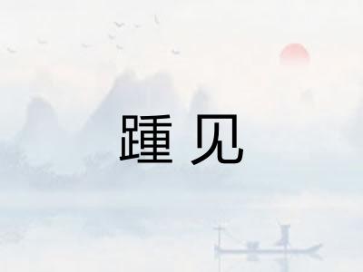 踵见